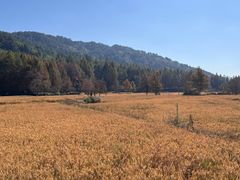 -塔川景区