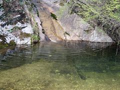 -王顺山国家森林公园