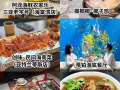 -三亚蜈支洲岛旅游区