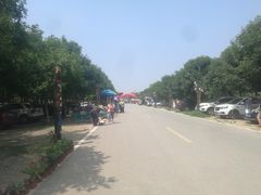 -北京呀路古热带植物园
