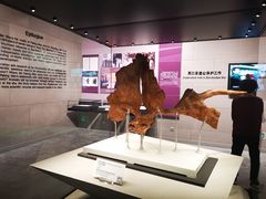 -北京周口店北京人遗址博物馆