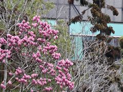-昆山城市公园