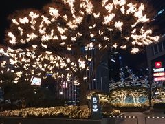 -乐天免税店(明洞店)