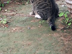 -酷鱼垂钓CLUB(朝阳区博大路店 )