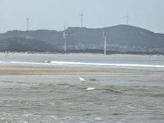 -长江澳风力发电景观区