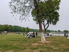 -合肥滨湖国家森林公园