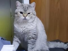 -动物缘宠物医院·骨科·猫科(西二环店)