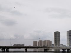 -天津金海湖