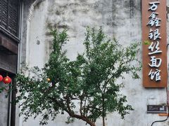 -新万鑫银丝面·非遗无锡味(惠山古镇店)