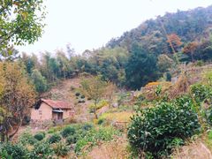 -东白山