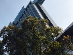 -上海浦东康桥绿地假日酒店