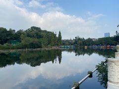 -桂湖森林公园