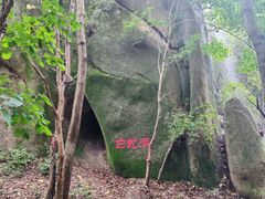 -六里坪国家森林公园