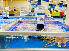 帝王蟹-盒马X会员店(上海森兰商都店)