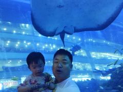 -成都浩海立方海洋公园