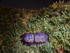 -夜间野生动物园