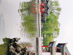 -MAP CHA普洱茶馆(翠湖店)