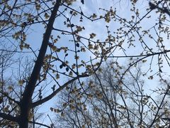 -昆山城市生态森林公园