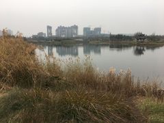 -眉山湿地公园(东坡区)