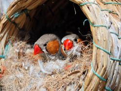 点击看大图 -Zoolung Zoolung动物主题公园(海信广场店)