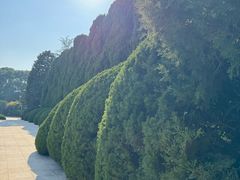 -宋庆龄陵园