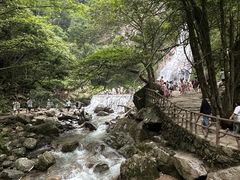 -炎陵县神农谷国家森林公园