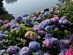 -荔湾湖公园