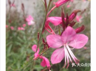空气中的温度与微风让人如此舒适