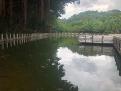 -西樵山风景名胜区-天湖公园