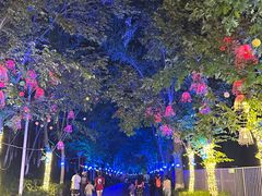 -水上乐园·欢乐世界