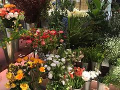 -二酉书店TOYOU BOOKS