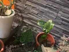 -泰古龙抓龙筋·spa按摩(静安店)