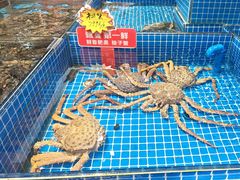 -渔港甄宴·海鲜·地标烟台菜(金沙滩店)