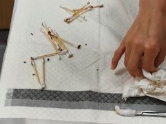 -康成宠物医院24H·CT·核磁共振