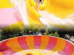 -重庆海昌加勒比海水世界