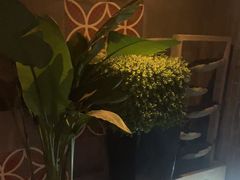 -扬州狮子楼·非遗淮扬菜(东关街店)