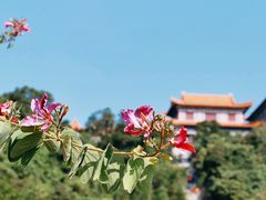 -东莞观音山旅游风景区