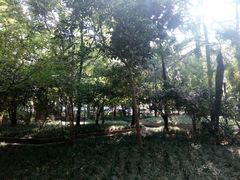 -上海交通大学医学院附属瑞金医院(总院)