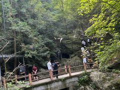 -藏龙百瀑风景区