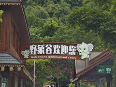 -野象谷景区