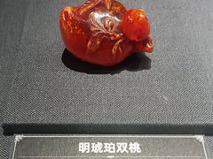 -天津博物馆