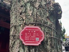 -狼山风景名胜区