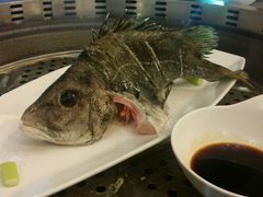 清蒸包公鱼-福泉海码头(六里山店)