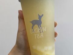 满杯柠檬-luckincoffee瑞幸咖啡(新华大厦店)