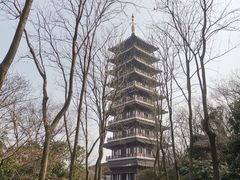 -宜兴龙背山森林公园