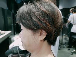 -HairCode芭曲发型