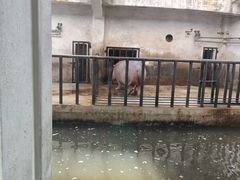 -石家庄市动物园