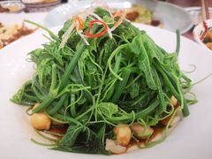 清炒南瓜尖儿-巴依老爷新疆美食(清华东门店)