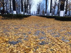 -两江幸福广场