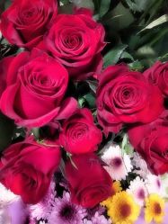 -Oasis Beauty水磨坊科技美肤中心